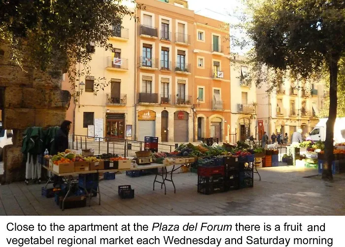 La Paloma *